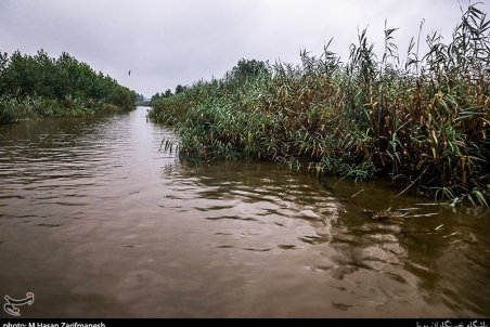 ورود آلاینده‌ها وضعیت تالاب انزلی را نگران‌کننده کرده است
