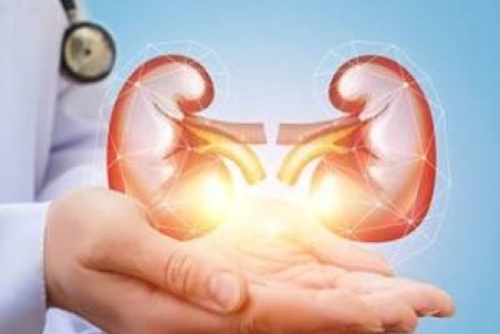 8 جوشانده گیاهی قوی برای دفع سنگ کلیه + دستور