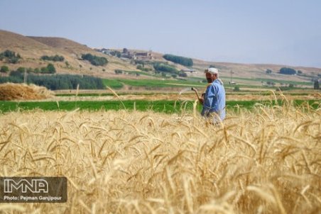 زمان بازگشایی زاینده‌رود برای کشت پاییزه اعلام نشده است