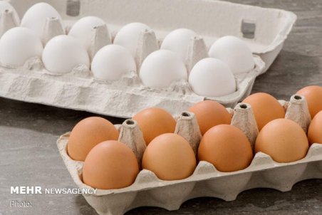 مرغداران نمی‌دانند تخم مرغ را به چه قیمتی عرضه کنند!