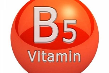 عملکرد کلی ویتامین B5 در بدن