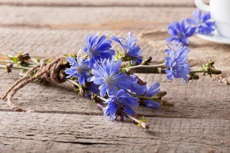 خواص عرق کاسنی