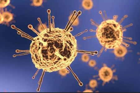 بستری ۴۱۴ بیمار کرونایی در بیمارستان‌های یزد/حال ۸۴ نفر وخیم است