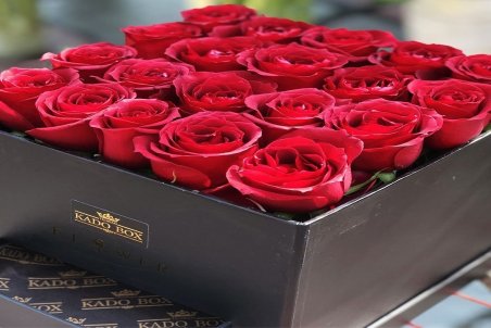 قیمت انواع گل طبیعی در بازار