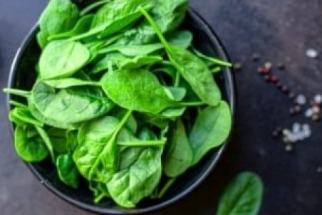 آموزش چگونگی کاشت و پرورش اسفناج