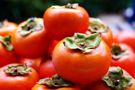 خواص شگفت انگیز خرمالو/این میوه پاییزی را بهتر بشناسیم