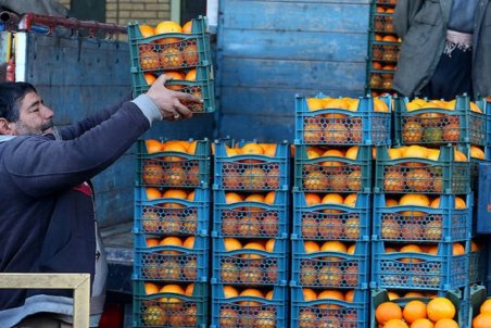 میوه در میدان تره بار اهواز گران نشده است