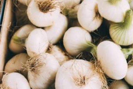 نحوه کاشت سیر در خانه