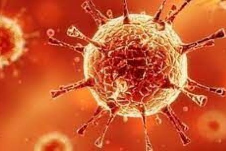 ۱۸۲ بیمار کرونایی در بیمارستان های خراسان شمالی بستری هستند