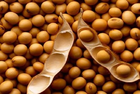 چهار خاصیت بی‌نظیر سویا را بشناسید