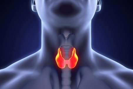 اهمیت وجود غده تیروئید در بدن و بیماری‌های آن