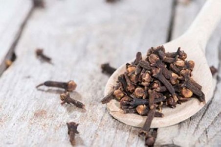 نگاهی به خواص میخک در طب سنتی