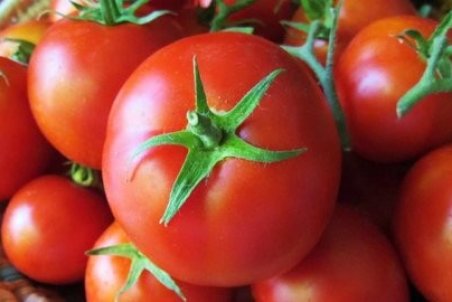 گران شدن گوجه تکذیب شد + قیمت روز میوه و تره‌بار