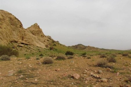 هرگونه شکار در استان اردبیل ممنوع ‌شد