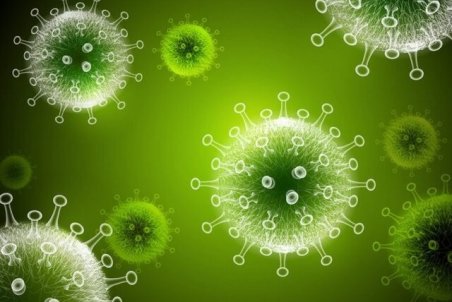 ۱۱۷ مورد ابتلا و فوت ۲ بیمار کرونایی دیگر در ایلام