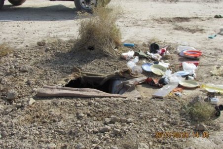 ۴ «کوخه شکار پرندگان» در سیریک کشف و تخریب شد