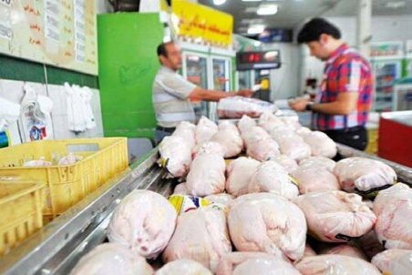 اگر مرغ کم باشد به برخی فروشگاه‌ها سهمیه نمی‌رسد