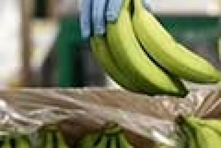 واردات موز سمی از سومالی واقعیت دارد؟