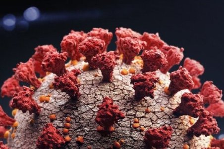 کرونا همچنان در کمین غفلت ماست/ بستری ۳۰۳ بیمار کرونایی در گیلان