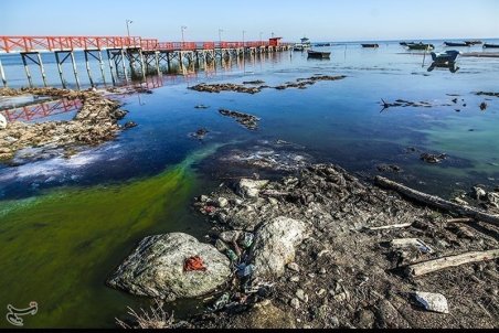 ستاد ملی تالاب‌ها در دولت دوازدهم کاری برای نجات خلیج گرگان انجام نداد