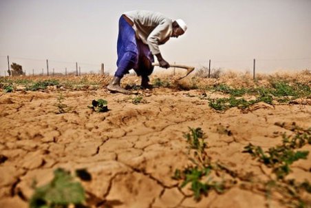 مشکلات کشاورزان اصفهانی تمامی ندارد/ در حسرت آب!