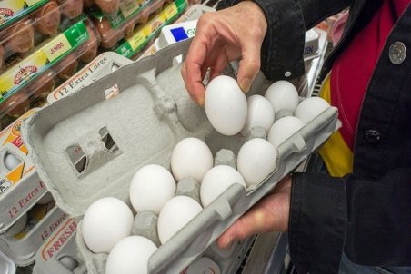 مشکل بازار تخم‌مرغ؛ افزایش سرانه مصرف تخم‌مرغ و بی‌نظمی در تأمین نهاده‌ها