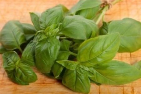 روش کاشت و پرورش ریحان در خانه