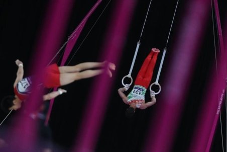 آذرپی: مراجع قضایی به ژیمناستیک ورود کنند/ فدراسیون خودمختار اداره می‌شود!