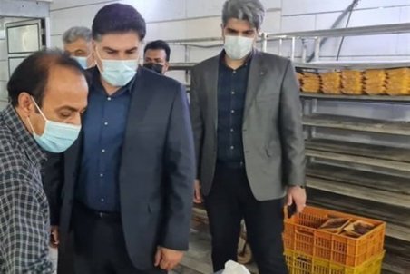 گوشت مرغ در استان بوشهر کمتر از قیمت مصوب سراسری عرضه می‌شود