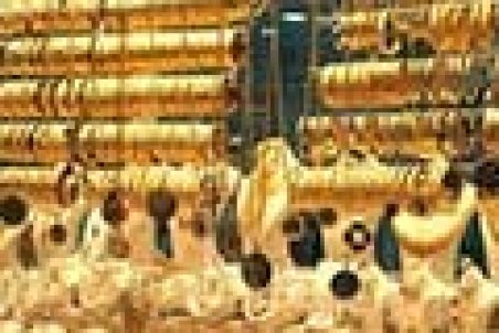 پیش‌بینی جدید درباره قیمت سکه و طلا