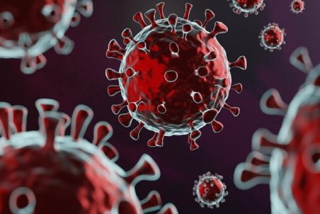 ۵ شهر آذربایجان غربی قرمز شد