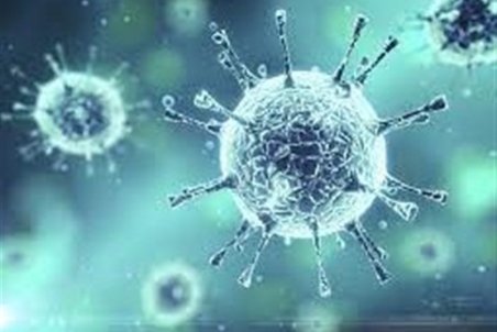 شمار فوتی‌ها کرونایی در کردستان به ۱۸۲۸ نفر رسید