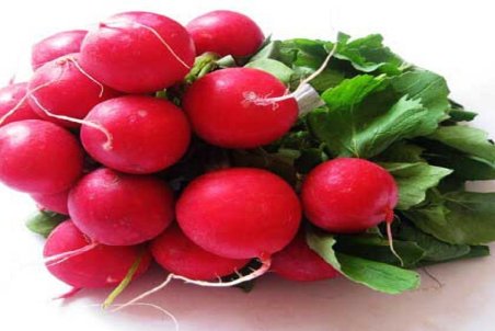 فواید بی نظیر روغن تربچه؛ از رفع چین و چروک پوست تا پیشگیری از سرطان