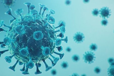 روز گذشته چند نفر در تهران به دلیل کرونا فوت شدند؟