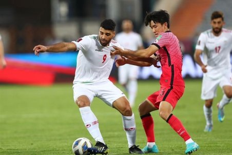 شاه‌محمدی: چوب خشک هم سرمربی باشد، بازیکن باید احترام بگذارد