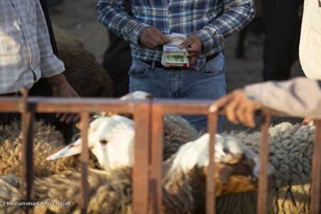 کاهش ۵۰ درصدی سرانه مصرف گوشت طی ۲ سال اخیر/ نرخ هر کیلو بره ۴۵ تا ۵۲ هزار تومان