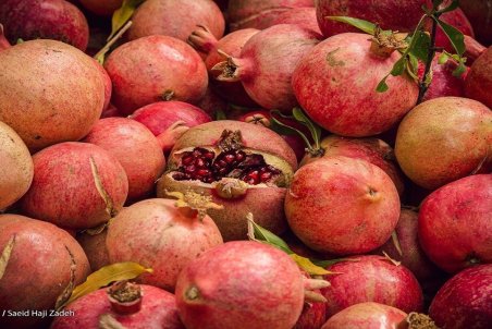 گرانی گوجه فرنگی مقطعی است/ تعادل بازار میوه طی ۲۰ تا ۳۰ روز آینده