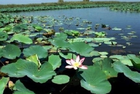 مرگ بی‌صدای تالاب‌های همدان/ تالاب "آق‌گل و چم‌شور" خشک شدند