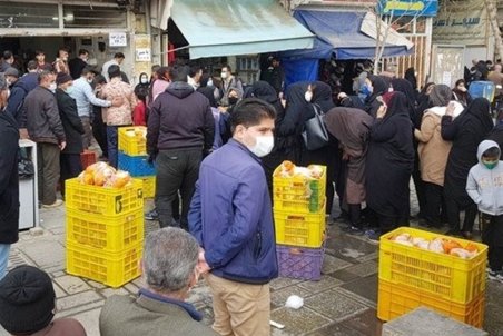 نوسانات قیمت مرغ در تهران تا ۱۰ روز آینده برطرف می‌شود