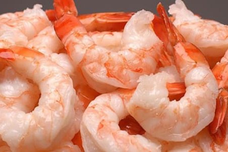 هزینه خرید میگو چقدر است؟