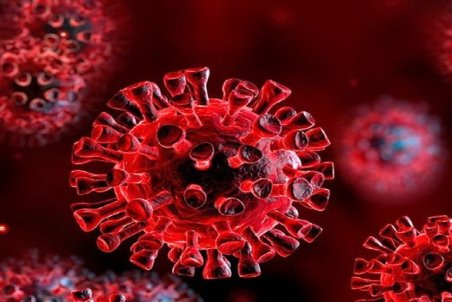 شناسایی ۱۲۳ بیمار جدید مبتلا به کرونا در لرستان