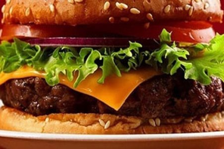 انواع همبرگر در بازار چند؟