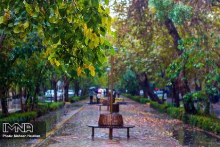 برگ‌های پاییزی درختان چهارباغ عباسی جمع‌آوری نمی‌شود