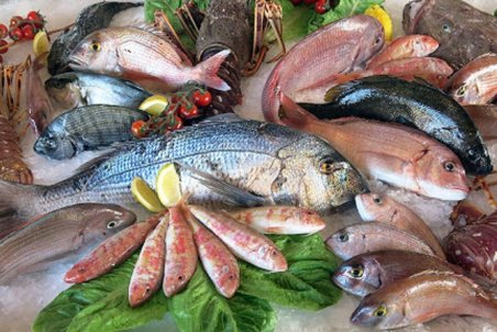 قیمت ماهی  چقدر است؟