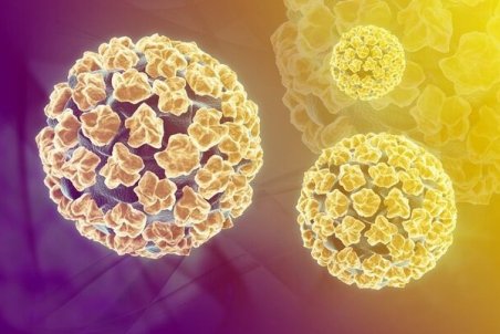 از زگیل و تبخال تناسلی چه می‌دانید؟