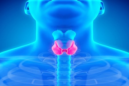 کم‌کاری تیروئید چیست؟