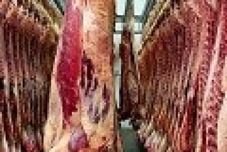 قیمت گوشت گوساله امروز