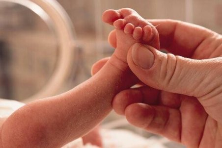 کلاف سردرگم "اهدای تخمک" زیر سایه نبود قانون/ دریافت "تخمک" چقدر خرج برمی‌دارد؟