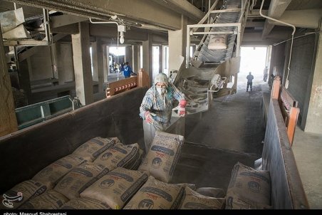 گاز برخی کارخانه‌های سیمان قطع شد/ فعلا توقف تولید نداریم