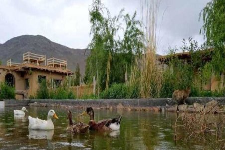 افزایش ۲۵ درصدی نرخ هتل‌ها، بوم‌گردی‌ها و خانه مسافرها در کرمانشاه